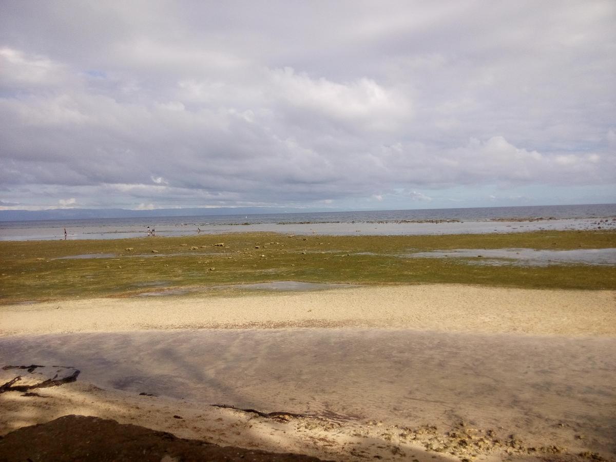 La Villa Alta Siquijor Bagian luar foto